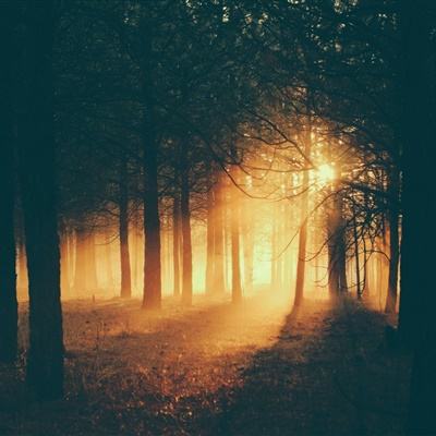 香港资料大全手机app下载