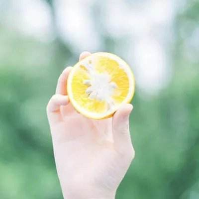 hth·华体育官方